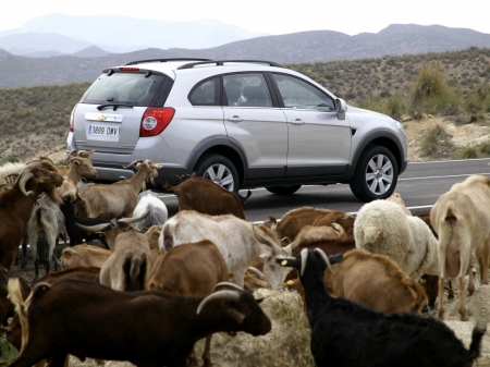 Фото  кроссовера Chevrolet Captiva (Шевроле Каптива)