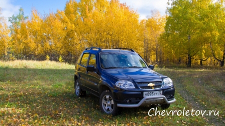 Отзыв о Chevrolet Niva 2010 г.в.