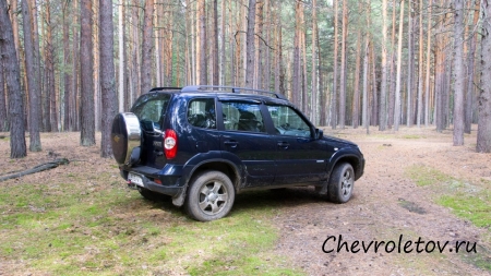 Отзыв о Chevrolet Niva 2010 г.в.